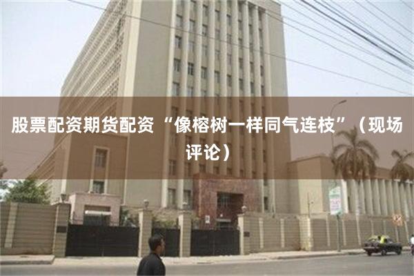 股票配资期货配资 “像榕树一样同气连枝”（现场评论）