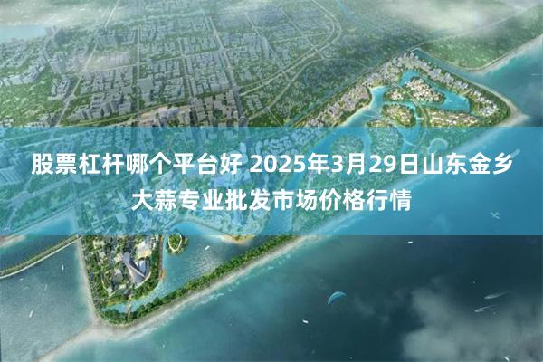 股票杠杆哪个平台好 2025年3月29日山东金乡大蒜专业批发市场价格行情