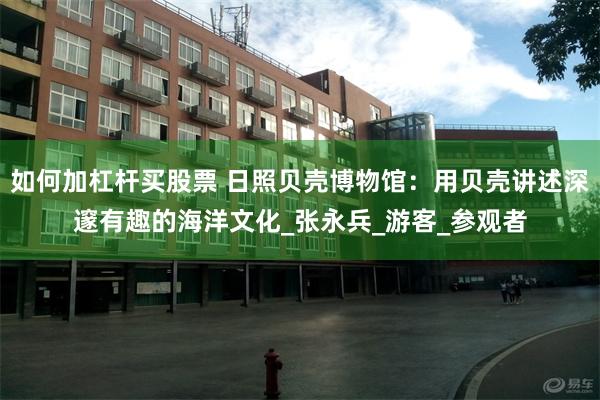 如何加杠杆买股票 日照贝壳博物馆：用贝壳讲述深邃有趣的海洋文化_张永兵_游客_参观者