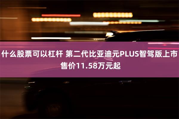 什么股票可以杠杆 第二代比亚迪元PLUS智驾版上市 售价11.58万元起