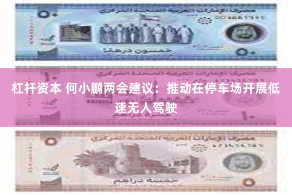 杠杆资本 何小鹏两会建议：推动在停车场开展低速无人驾驶