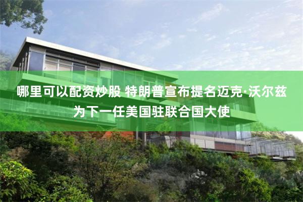 哪里可以配资炒股 特朗普宣布提名迈克·沃尔兹为下一任美国驻联合国大使