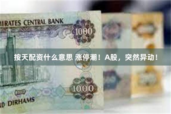 按天配资什么意思 涨停潮！A股，突然异动！