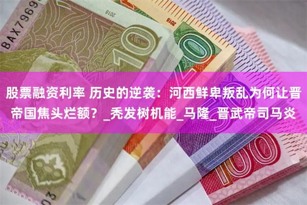 股票融资利率 历史的逆袭：河西鲜卑叛乱为何让晋帝国焦头烂额？_秃发树机能_马隆_晋武帝司马炎