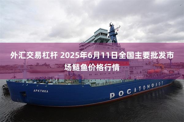 外汇交易杠杆 2025年6月11日全国主要批发市场鲢鱼价格行情
