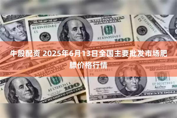 牛股配资 2025年6月13日全国主要批发市场肥膘价格行情