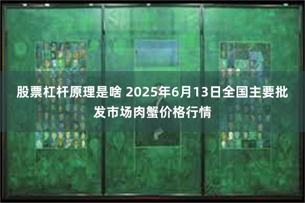 股票杠杆原理是啥 2025年6月13日全国主要批发市场肉蟹价格行情