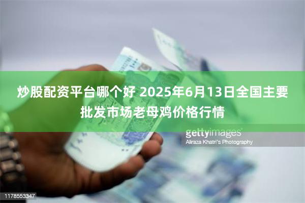炒股配资平台哪个好 2025年6月13日全国主要批发市场老母鸡价格行情