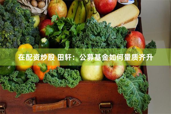 在配资炒股 田轩：公募基金如何量质齐升