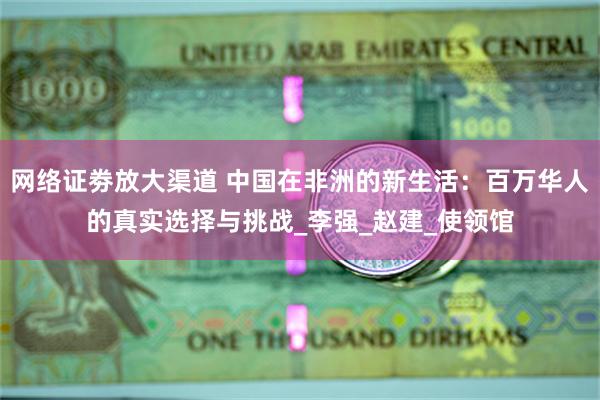 网络证劵放大渠道 中国在非洲的新生活：百万华人的真实选择与挑战_李强_赵建_使领馆