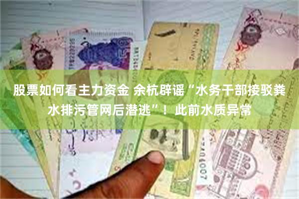 股票如何看主力资金 余杭辟谣“水务干部接驳粪水排污管网后潜逃”！此前水质异常