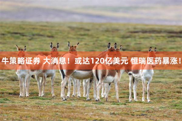 牛策略证券 大消息！或达120亿美元 恒瑞医药暴涨！