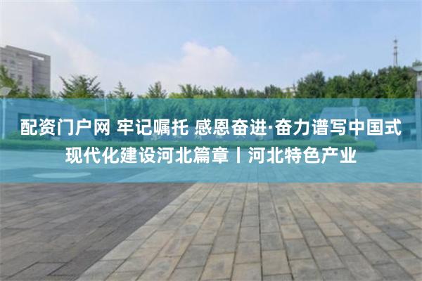 配资门户网 牢记嘱托 感恩奋进·奋力谱写中国式现代化建设河北篇章丨河北特色产业